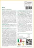 SAFLAX  - Mirto - 30 semi - Con substrato - Myrtus Anteprima dell’immagine prodotto 3