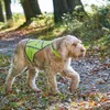 HUNTER Warnweste für Hunde, stufenlos verstellbar, wasser- Produktbild-Vorschau 3