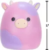 Squishmallows - Squish-a-longs Onderweg Speelset Feest Voir les images du produit 16