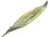Deko - Aloe-Blatt künstlich, grün, ca. 115 cm Produktbild-Vorschau 2