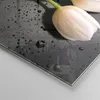 Bilder auf glas - Tulpen Blume Pflanzung Pflanze - 50x50cm Produktbild-Vorschau 5