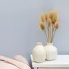 Distel - (Dipsacus) - Gebleichte Produktbild-Vorschau 2
