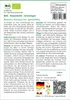 SAFLAX - BIO - Rosenkohl - Groninger - Brassica oleracea Produktbild-Vorschau 3