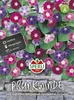 SPERLI Prunkwindensamen Presto 20 Pflanzen Produktbild-Vorschau 3