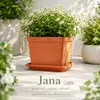 Podstawka pod doniczkę z terakoty Jana 17 x 17 cm - Podgląd zdjęcia produktu 7