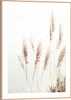 Wandbild - Braun - Weiß - 30 x 40 cm - Pampasgras Produktbild-Vorschau 1