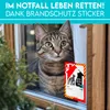 HUND IST KÖNIG Aufkleber Haustier Rettung für Tür & Fenster Produktbild-Vorschau 5