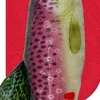 A close-up of a fish toy with a red, topographic-like background. Produktbild-Vorschau