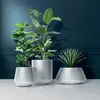 Three modern planters with plants on a light surface against a dark blue wall. Anteprima dell’immagine prodotto