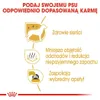 Royal Canin Maltese Adult, Adult, Malteser, Mini (≤4 kg), Produktbild-Vorschau 6