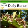 SAFLAX - Duży Banan - 10 Nasiona - Z podłożem uprawowym Podgląd zdjęcia produktu 10