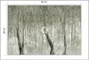 Muralo Selbstklebende Fototapete Für Wohnzimmer BÄUME Produktbild-Vorschau 2