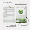 Rucola Samen (Diplotaxis tenuifolia, 750 Korn) - Wilde Produktbild-Vorschau 6