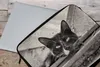 MuchoWow® Laptop Hülle 15 Zoll Nahaufnahme einer Katze Produktbild-Vorschau 4