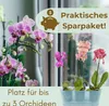 2er Set Orchideentopf Transparent Orchideen Übertopf Produktbild-Vorschau 6