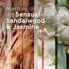 Glade Automatic Spray Nachfüller Sensual Sandalwood & Produktbild-Vorschau 2