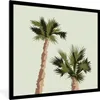MuchoWow® MuchoWow® Gerahmtes Poster Palme - Himmel - Produktbild-Vorschau 1