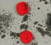 Clown Horror Halloween Kostüm 10-12 Jahre Produktbild-Vorschau 7