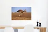 MuchoWow® Poster Känguru - Landschaft - Mantel - Braun Produktbild-Vorschau 6