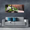 Glasbilder 125x50 Wandbild Druck auf Glas Blumen Steine Produktbild-Vorschau 3