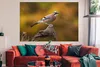 MuchoWow® Poster Vogel - Zweig - Eichelhäher 180x120 cm - Produktbild-Vorschau 2