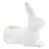 Gilde Hase Schale "Bosco" 55441 Produktbild-Vorschau 3