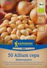 Kiepenkerl  Wintersteckzwiebel Shakespeare Allium cepa 50 Produktbild-Vorschau 3