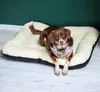 4L Textil ELLA Hundebett Leder Optik Hundekissen Kunstleder Produktbild-Vorschau 8