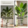 Umělý rajský pták Tropic, realistický - 180 cm Náhled obrázku produktu 13