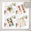 A collage of four shadow boxes, each displaying different items: a dried flower bouquet, medals, butterflies, and seashells. Pink roses and greenery are visible around the shadow boxes. Anteprima dell’immagine prodotto