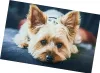 Protišmyková podložka Pes 40x60 cm - Yorkshire Terrier Náhľad obrázku produktu 1