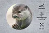 MuchoWow® Mauspad Mousepad Ein Otter mit zusammengelegten Produktbild-Vorschau 2