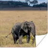 MuchoWow® Poster Schlammiges Elefantenbaby in der Serengeti Produktbild-Vorschau 1