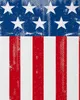 style3 USA Flagge Herren T-Shirt banner vereinigte staaten Produktbild-Vorschau 2