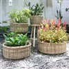 Natur Rattankorb NORDERNEY Kubu Grey ca.40cm Pflanzkorb Produktbild-Vorschau 1
