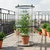 Pop-Up Folien Gewächshaus für Tomaten - 110 x 49 cm - Produktbild-Vorschau 7
