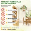 Fenster Wespenfallen mit Spezial-Lockstoff – 9x Fallen – Produktbild-Vorschau 2
