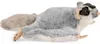 Carl Dick Flughörnchen, Gleithörnchen ca. 30cm, Plüschtier, Produktbild-Vorschau 3