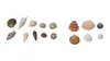 NaDeco Muschelmix Small 0,5 kg, kleine Muscheln und Produktbild-Vorschau 2