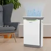 An air purifier is shown in a living room setting next to a chair and a plant. Produktbild-Vorschau