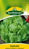 Quedlinburger Saatgut - Kopfsalat Kagraner Sommer 2 - Samen Produktbild-Vorschau 3