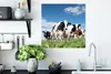 MuchoWow® Poster Kühe - Landleben - Weide - Natur - Tiere Produktbild-Vorschau 3