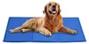 Golden Retriever Hund liegt auf einer rechteckigen blauen Kühlmatte auf weißem Hintergrund Náhled obrázku produktu