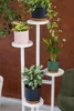 A white, multi-tiered plant stand holding six potted plants against a brown textured wall. Anteprima dell’immagine prodotto