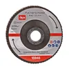 Fächerscheiben K40 125 mm 10er Set Produktbild-Vorschau 2