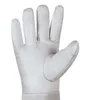 teXXor® Schweißerhandschuhe ARGON I 12, natur Produktbild-Vorschau 6