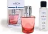 Maison Berger Set TERRA Rouge 250ml Angelique Noire Produktbild-Vorschau 2