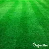 Vertikutier-Mix - Grassamen - Dünger - Produktbild-Vorschau 7
