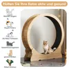 A cat is sitting inside a wooden cat wheel, with text and illustrations on the left side of the image highlighting the benefits of the product. Voir les images du produit