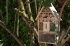 Insect hotel XXL Cassetta nido naturale Casetta per insetti Anteprima dell’immagine prodotto 2